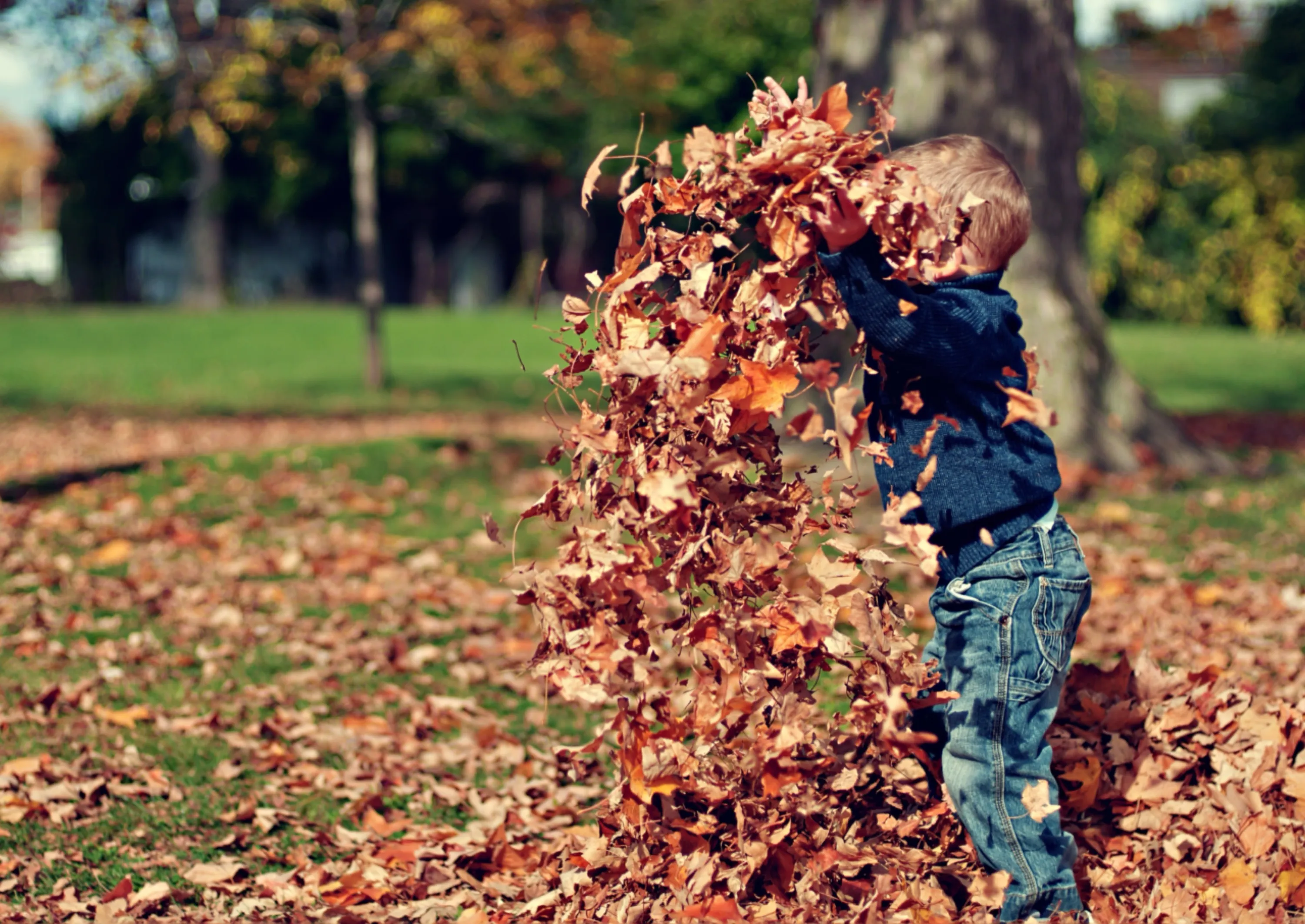 Each day of our lives we make deposits in the memory banks of our children.
