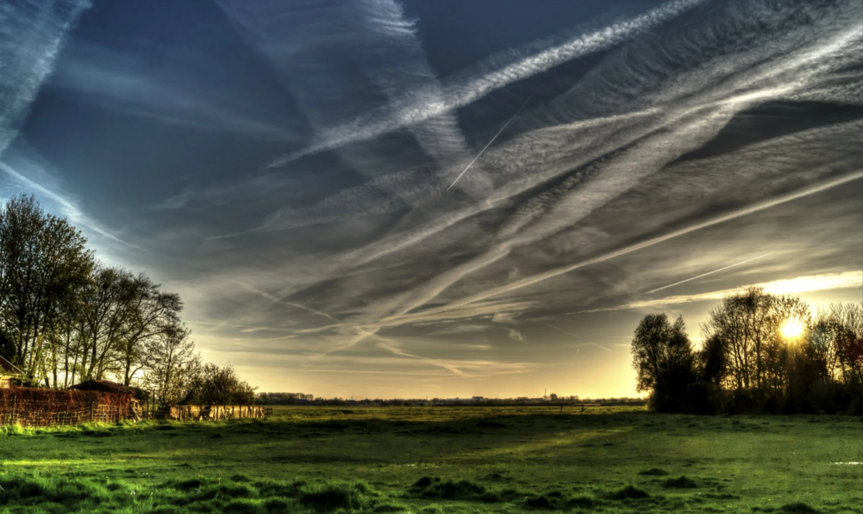 Field at Sunset