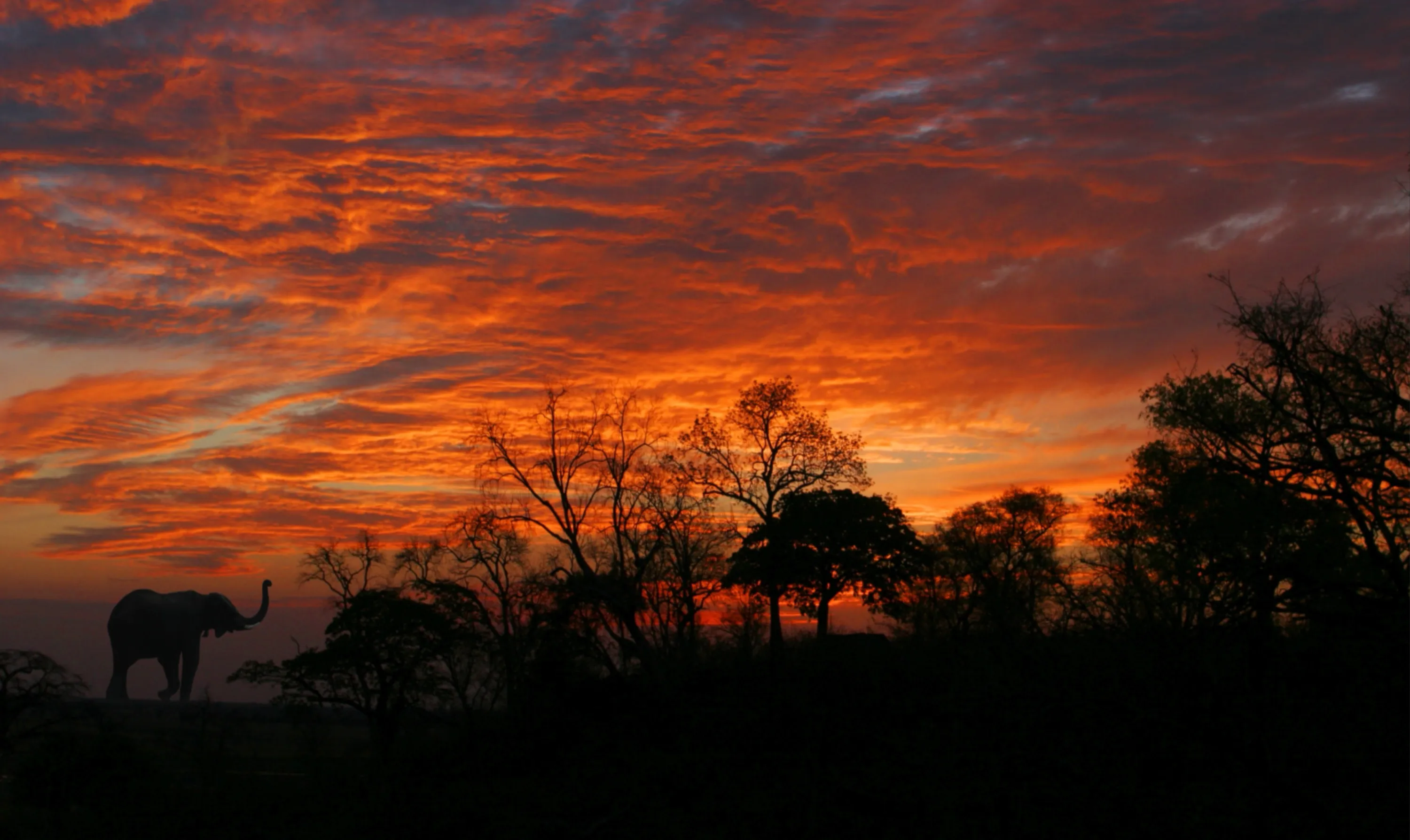 African Sunset