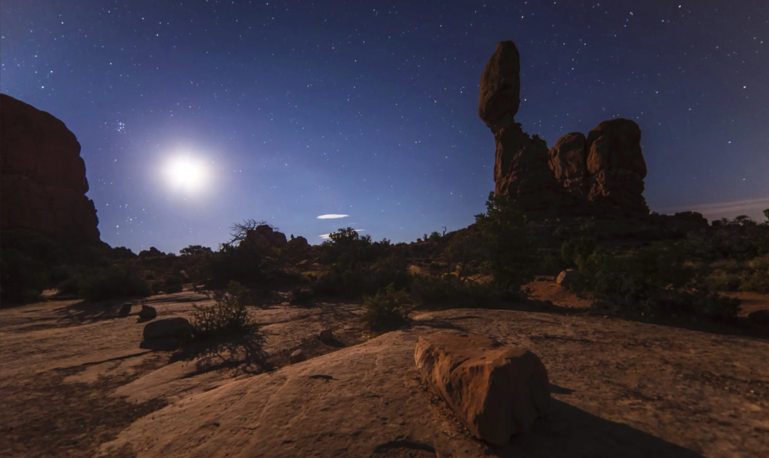 Desert Scene at Night