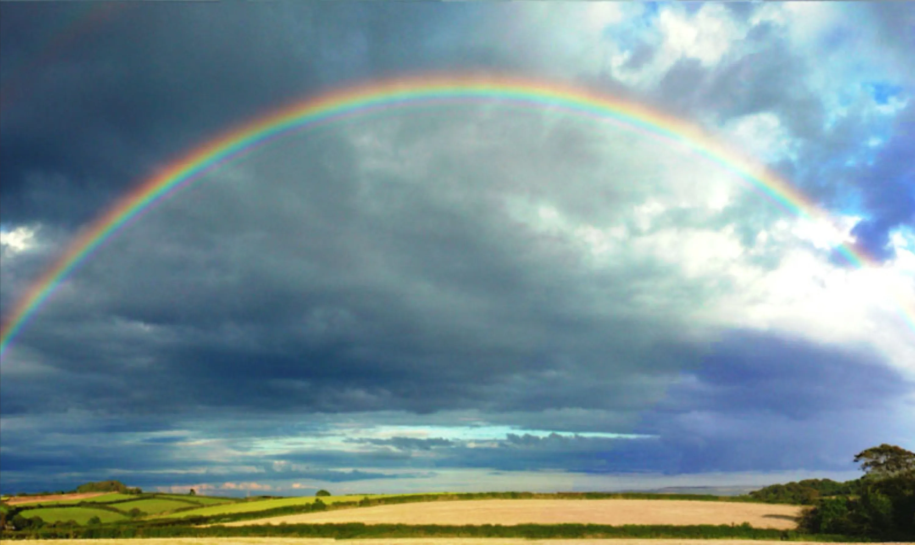 Perfect Rainbow