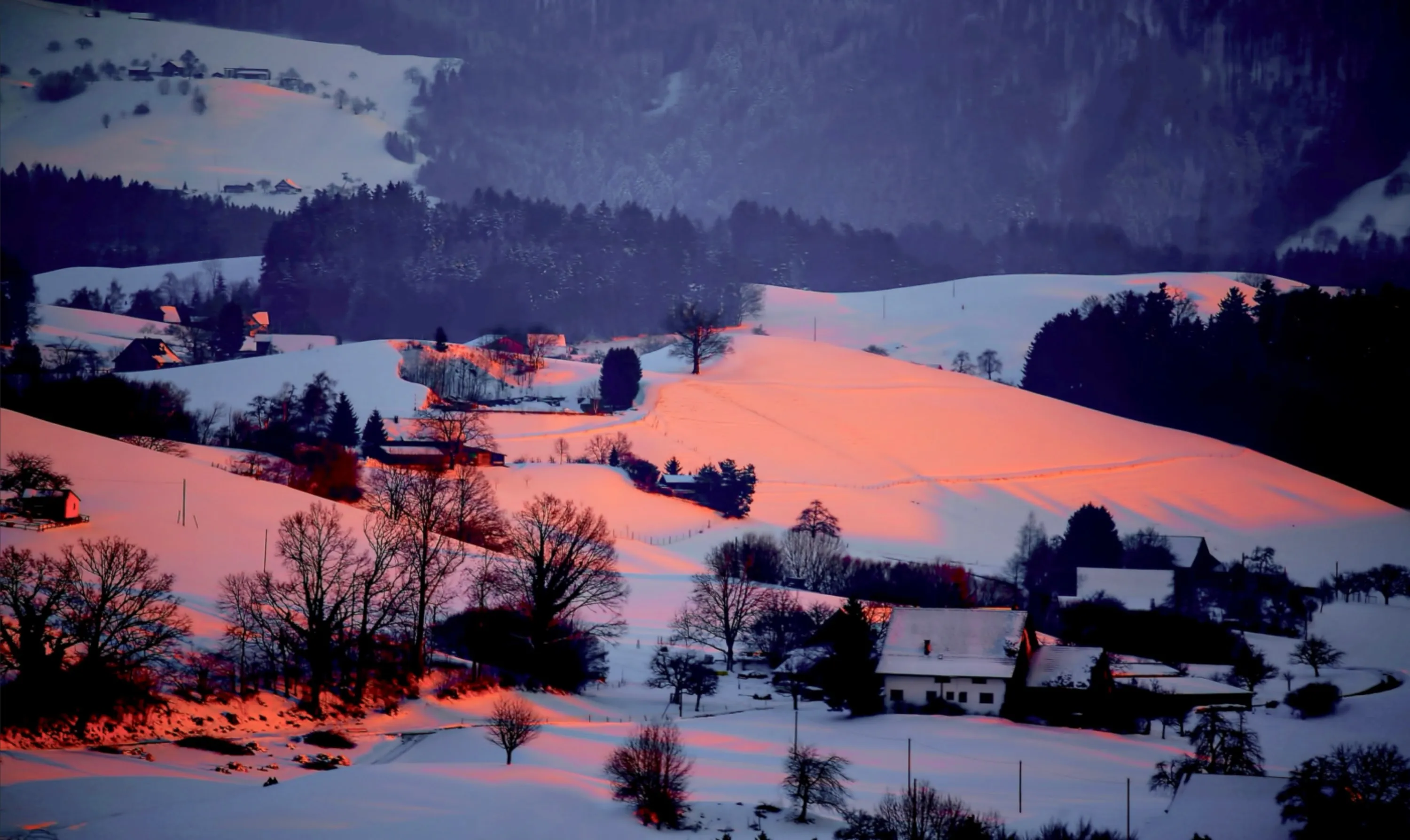 Winter Sunset
