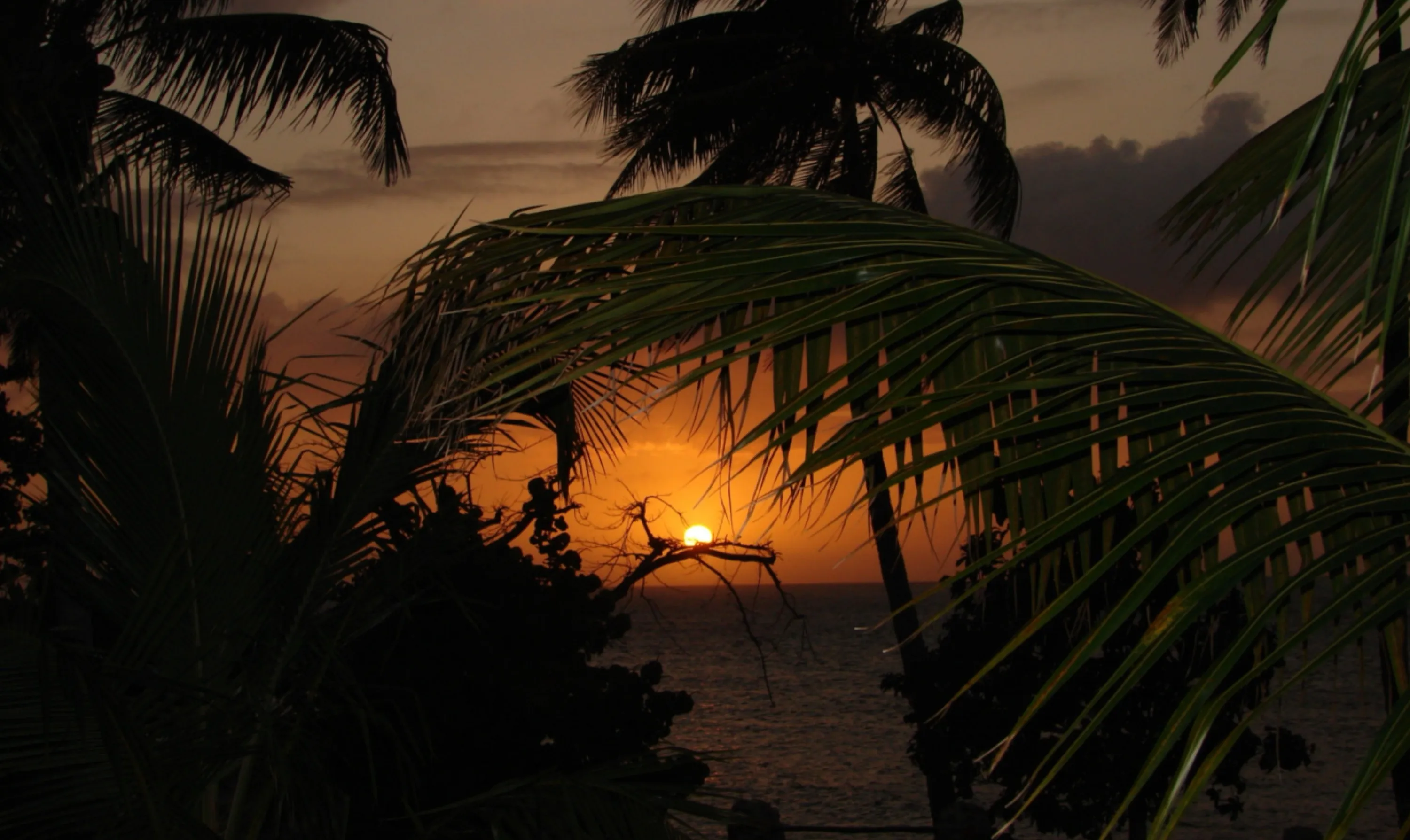 Caribbean Sunset