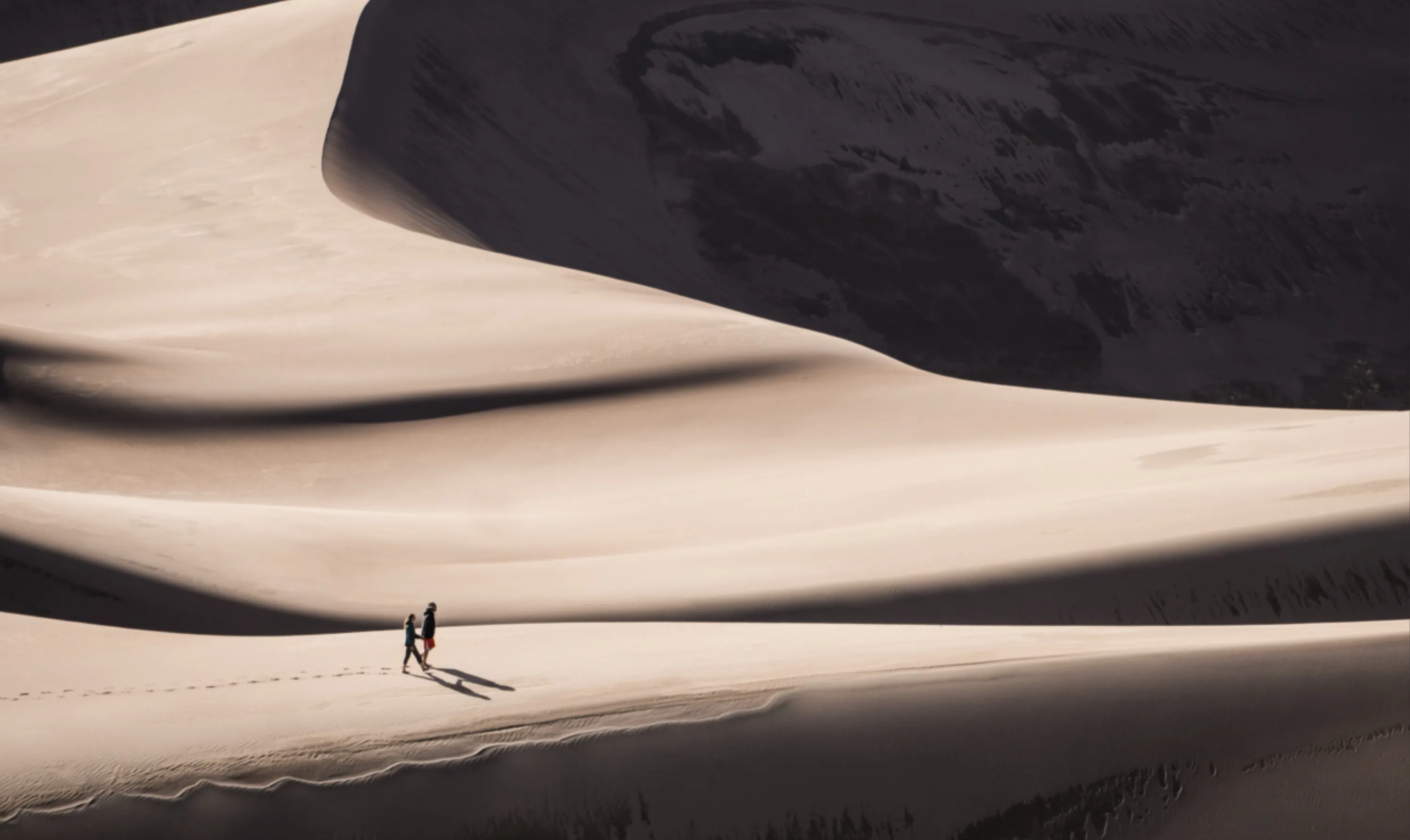 The Courage to Explore