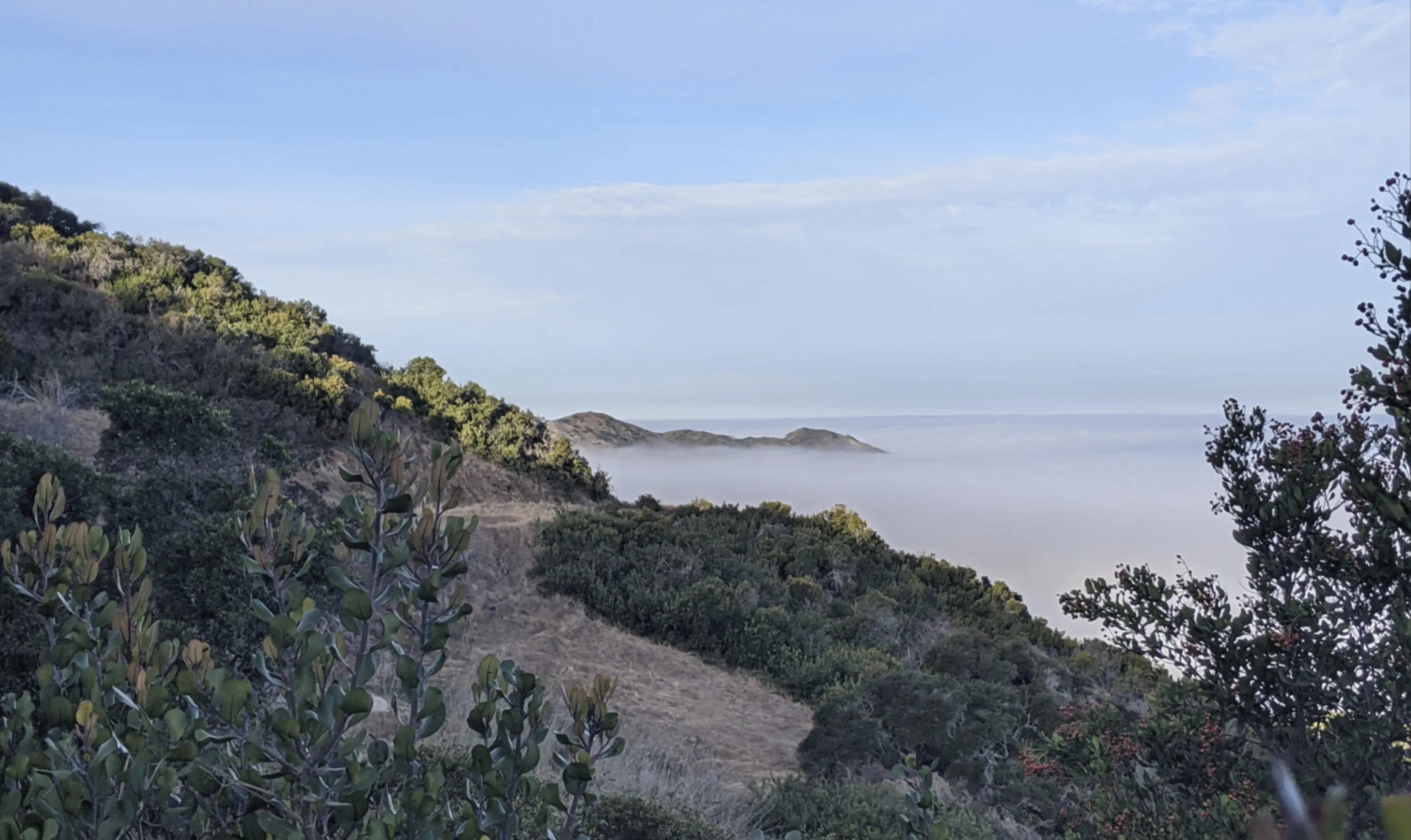 Above the Clouds on Catalina Island