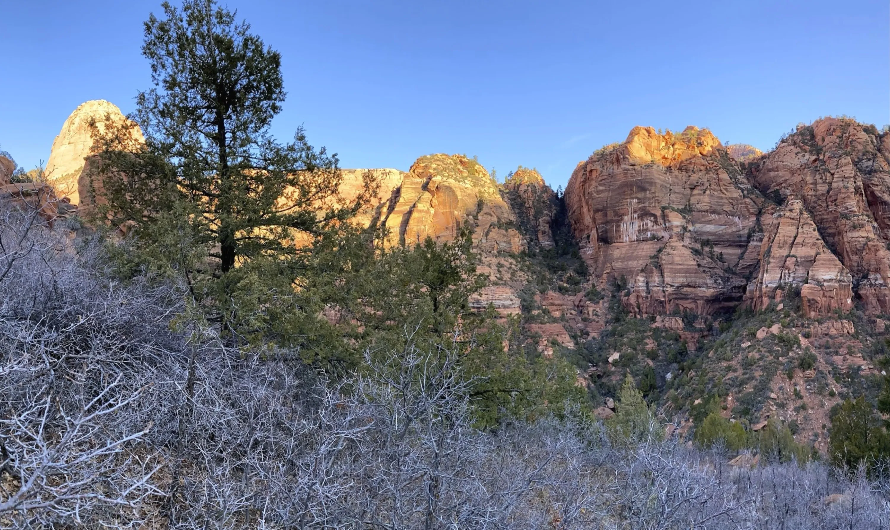 Rugged Mountain Range, Zion National Park, Utah