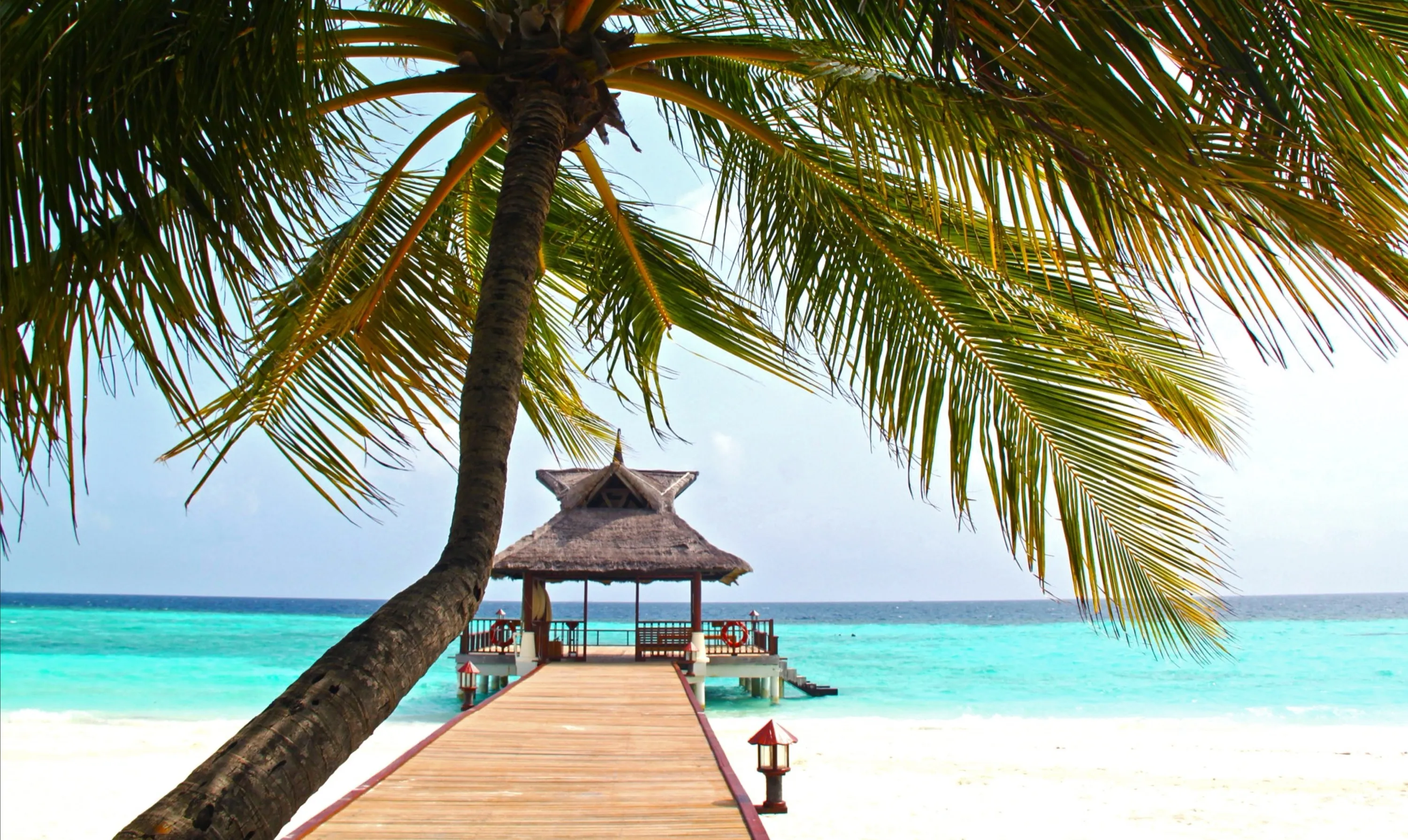 Tropical Beach Hut