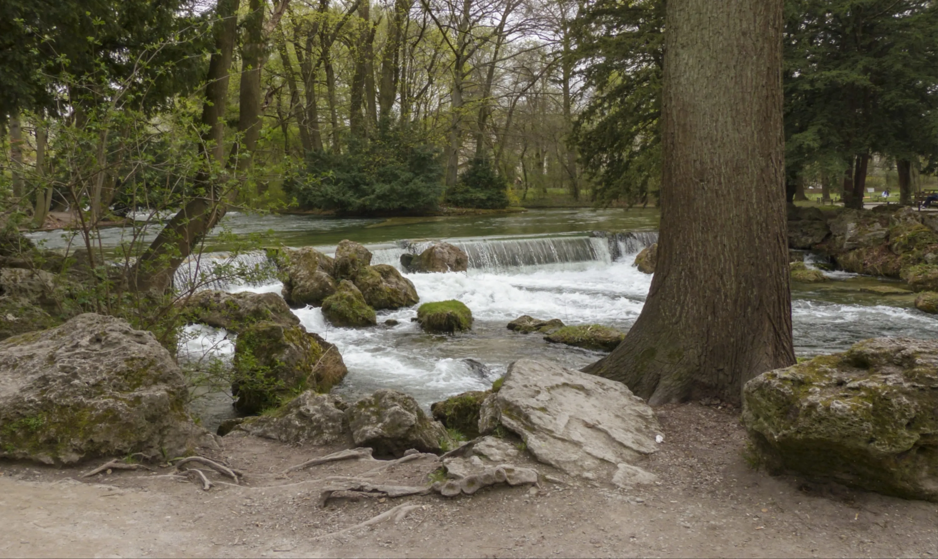 Woodland Stream