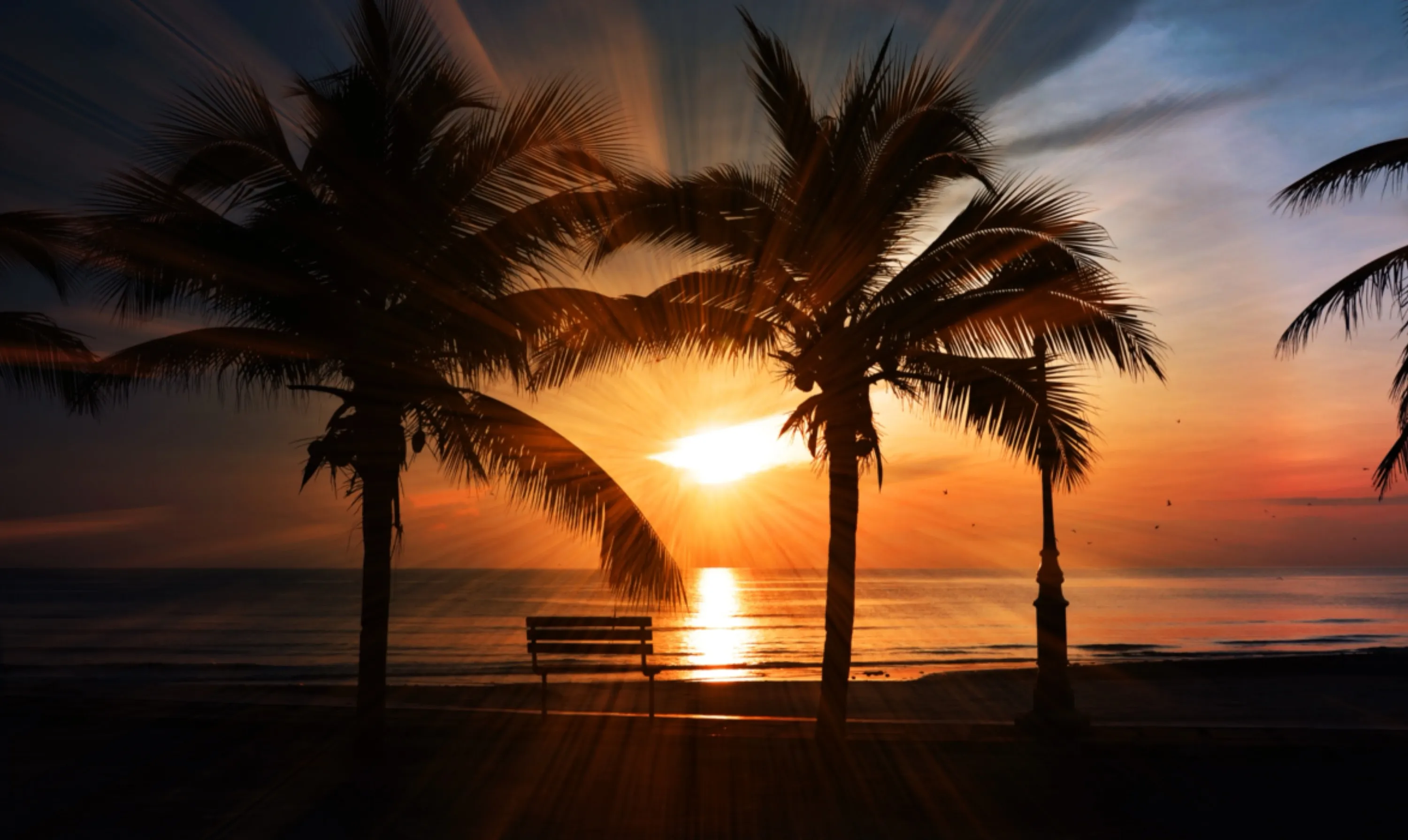 Tropical Sunset