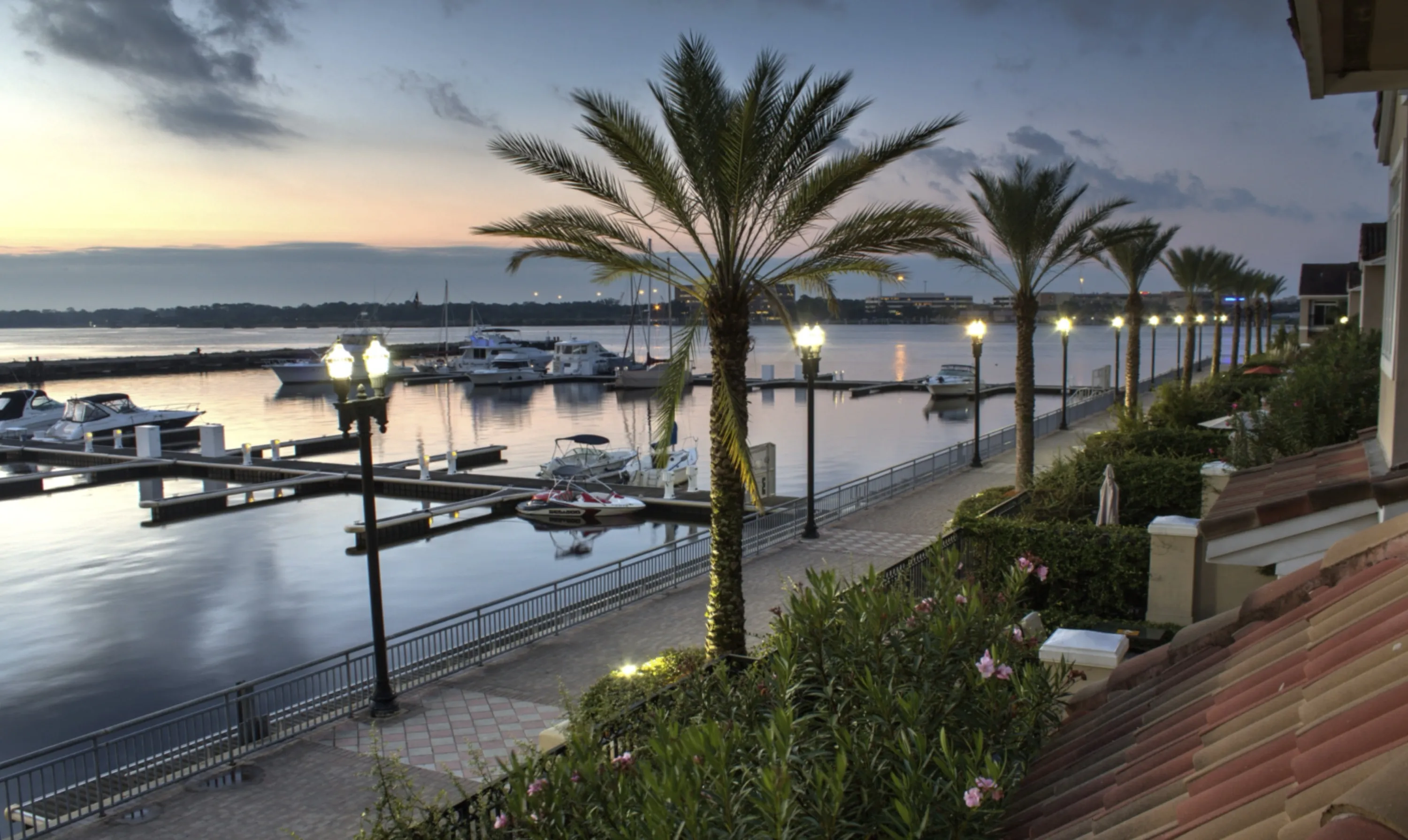 Palm Trees Along Waterfront