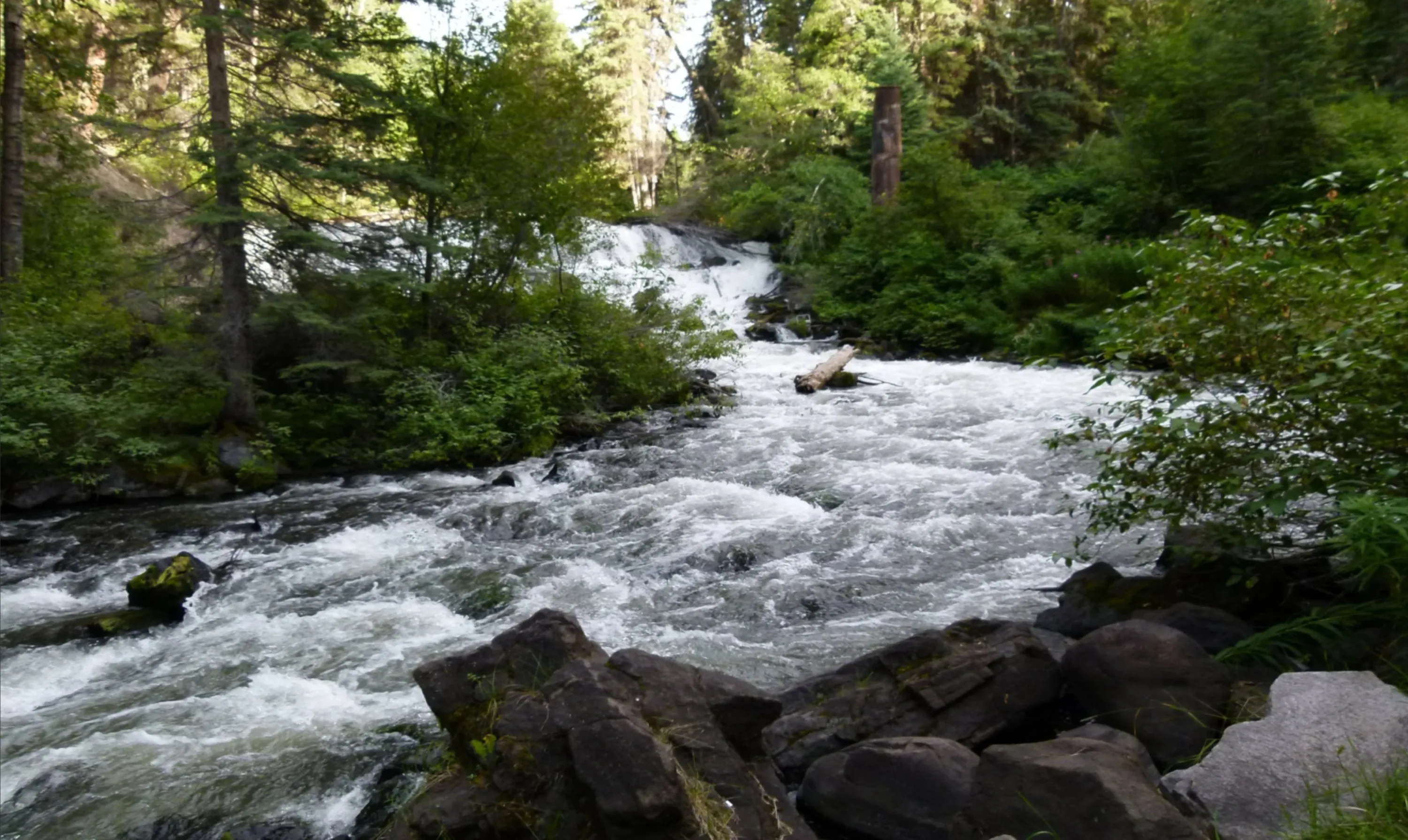 Rushing Mountain Stream