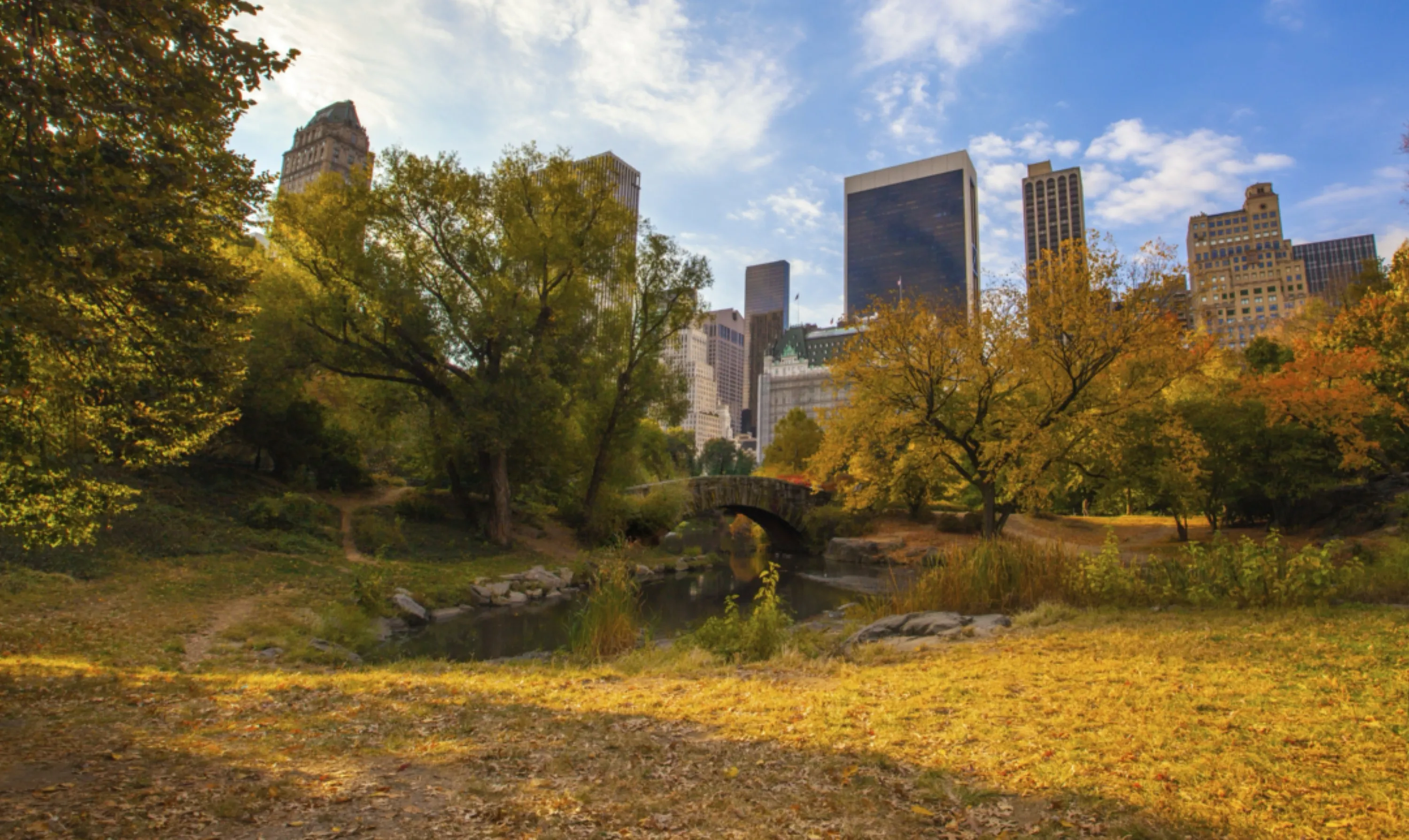 Civilization and Nature in New York City