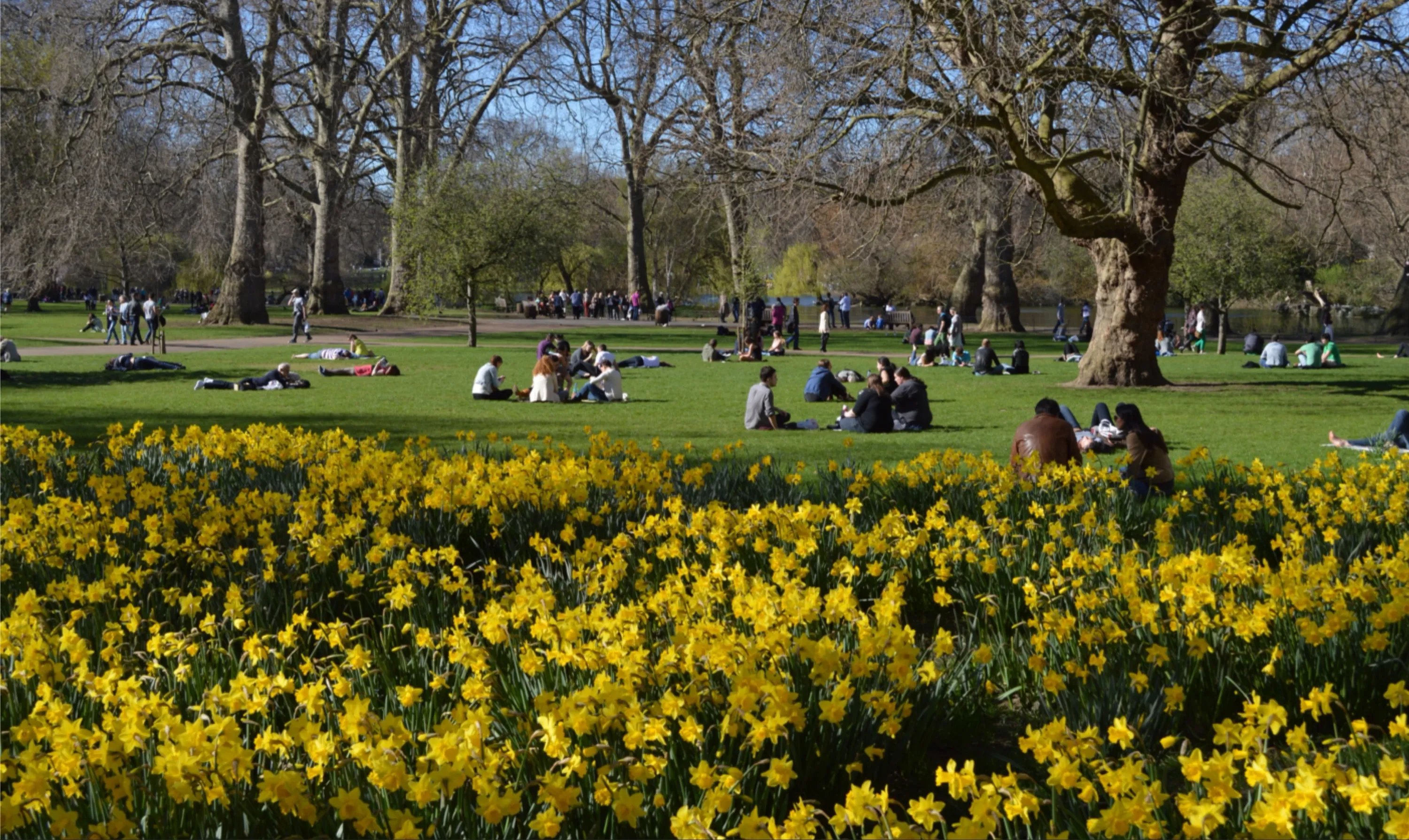 St. James Park, London