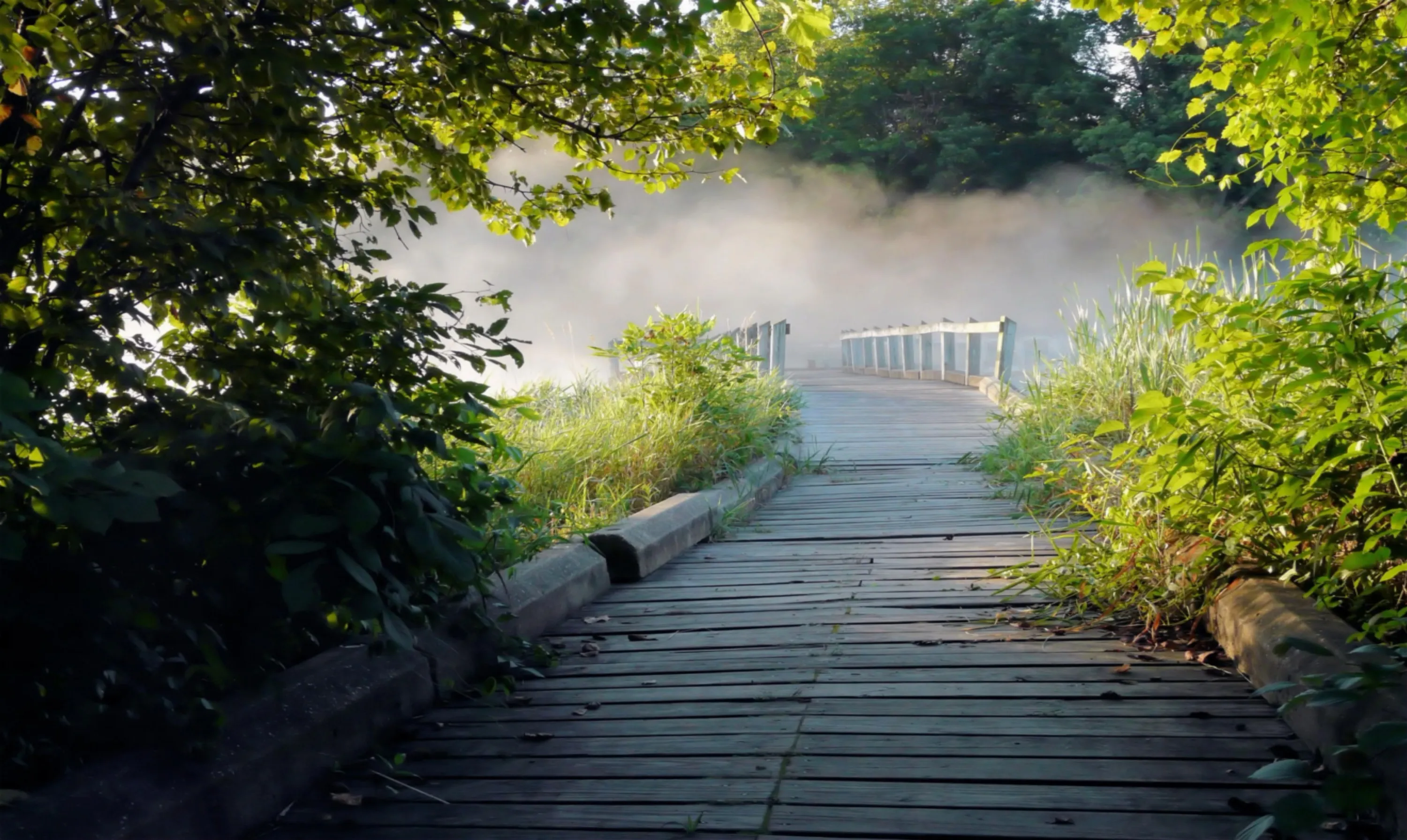 Wooden Walkway and Bridge