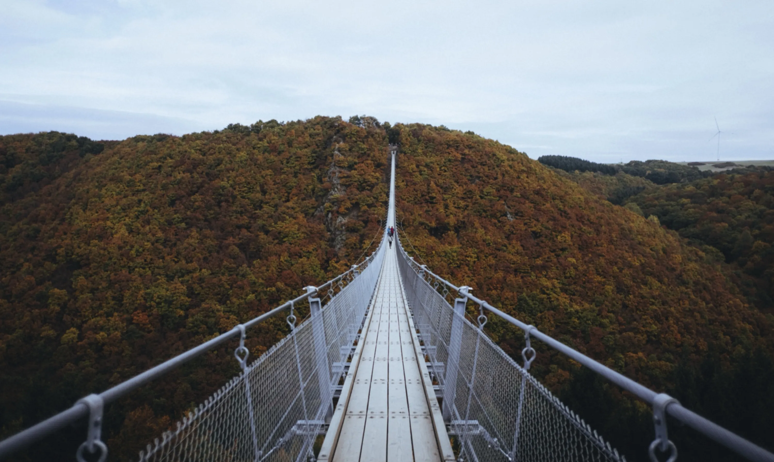 Pedestrian Bridge in the Fall, Geierlay, Germany