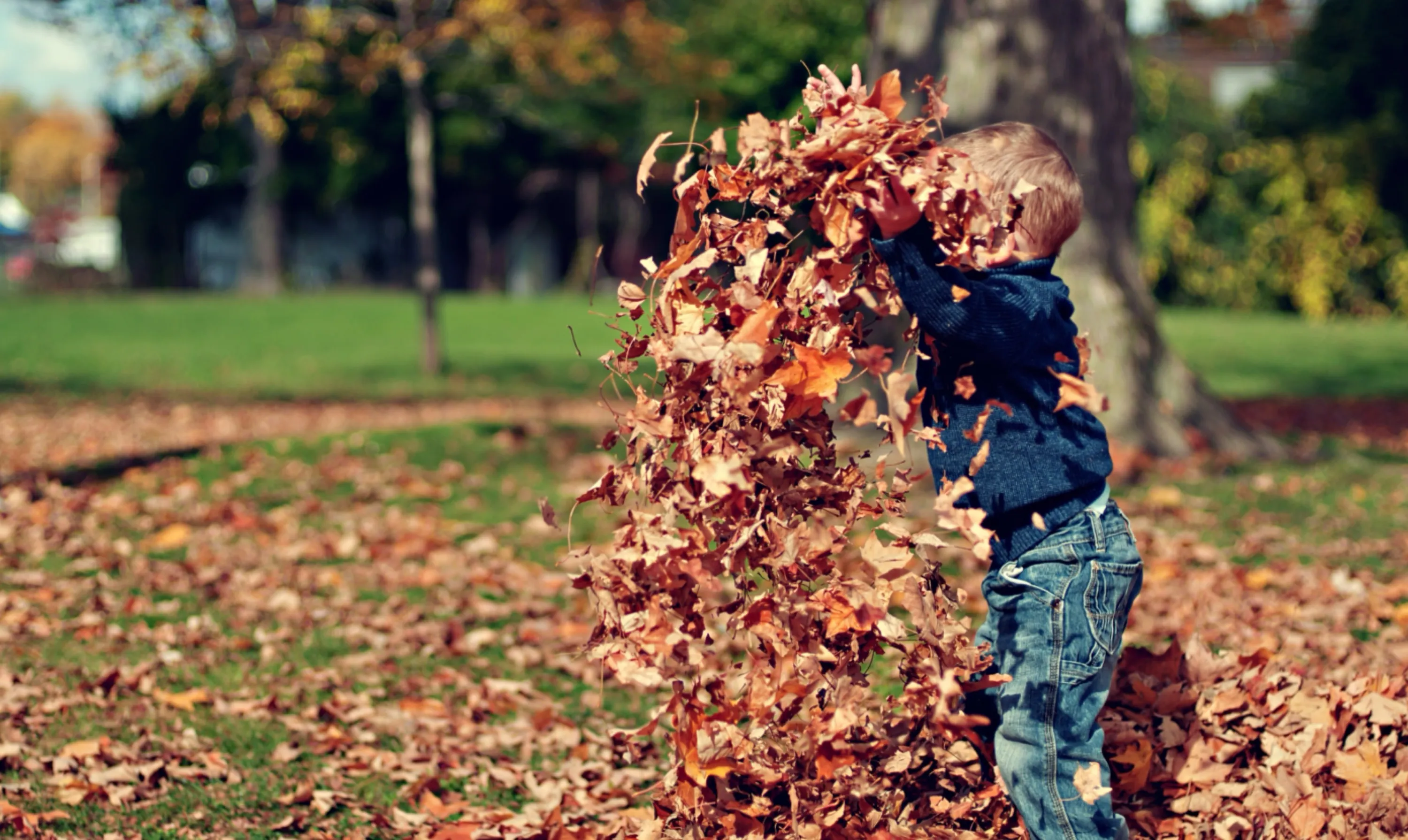 Child Playing in Leaves