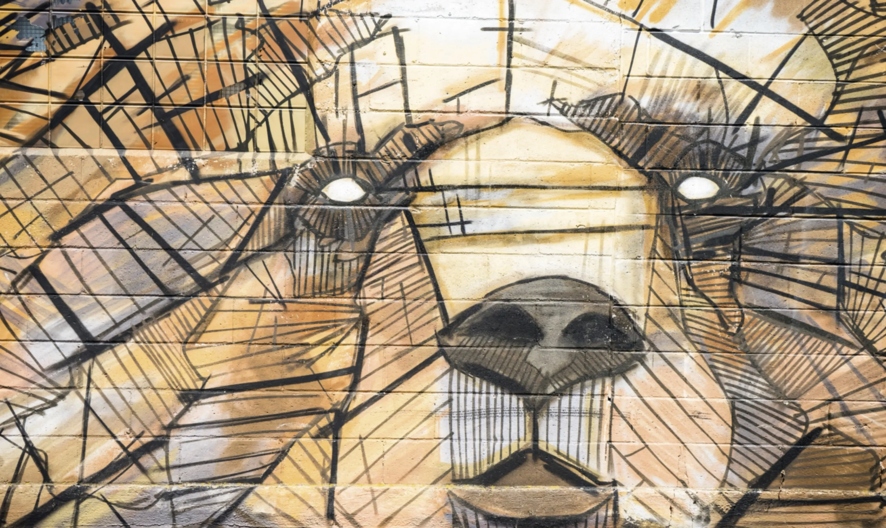 Street Art of Animal’s Face