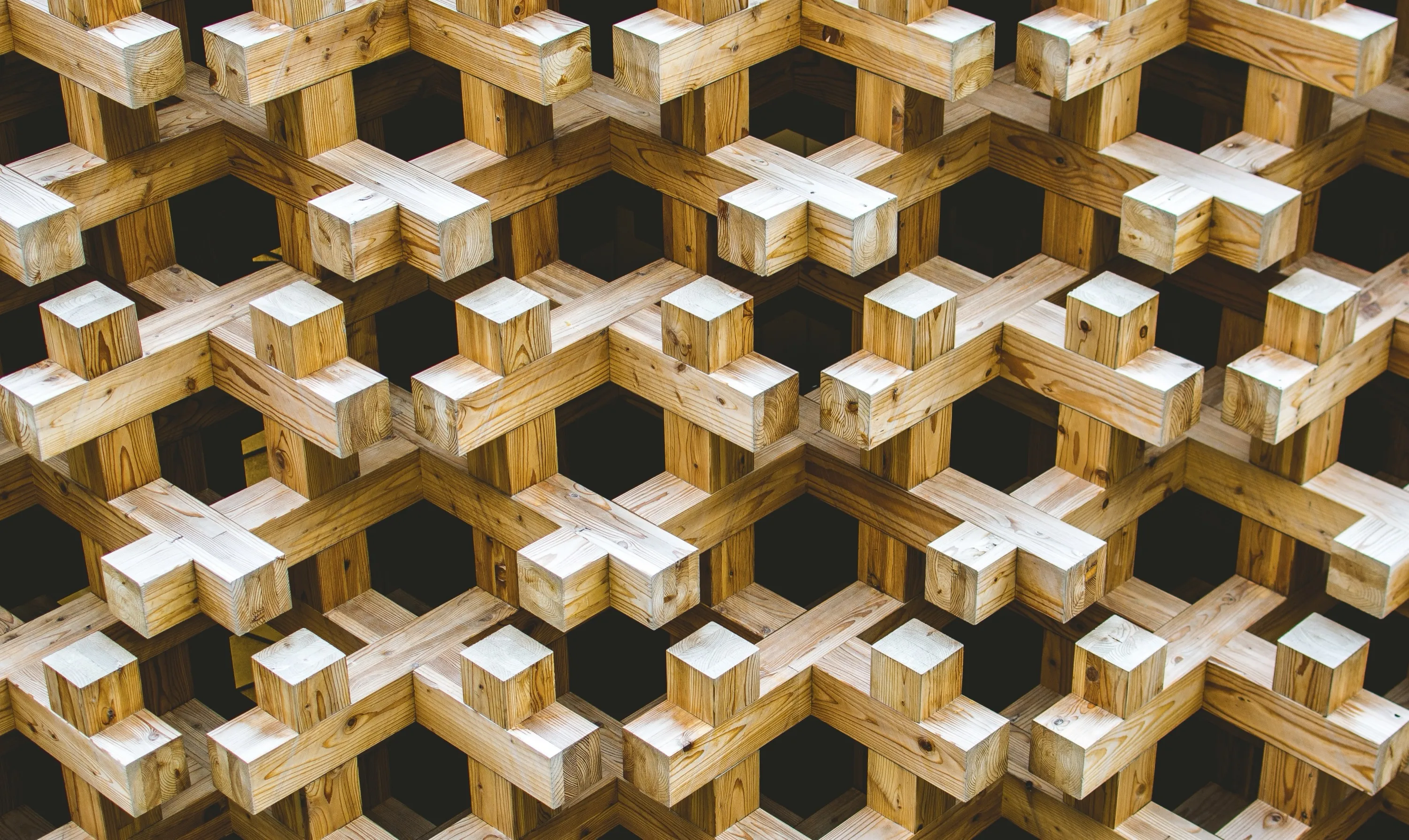 Three Dimensional Wooden Sculpture