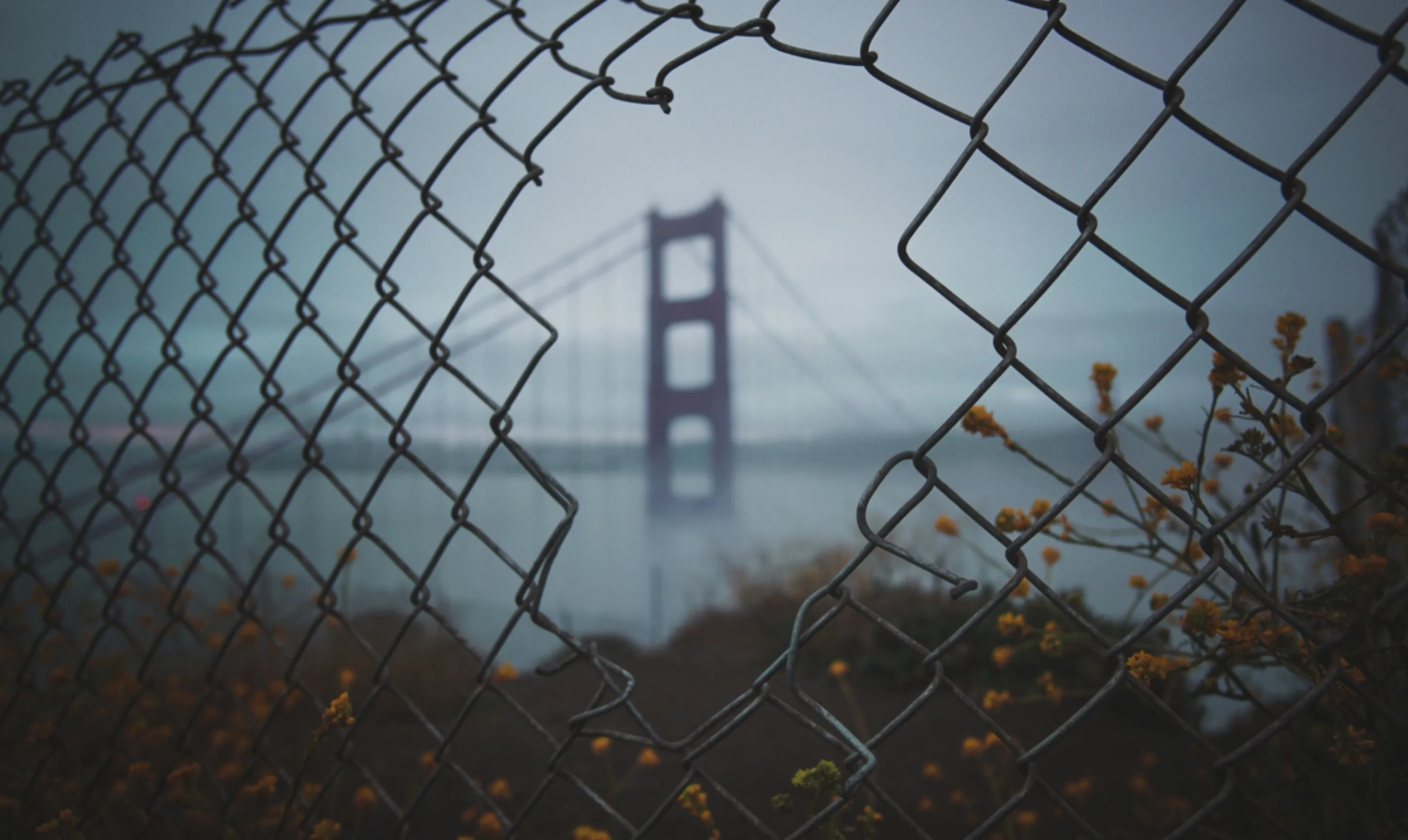 Golden Gate Bridge Framed by Fencing