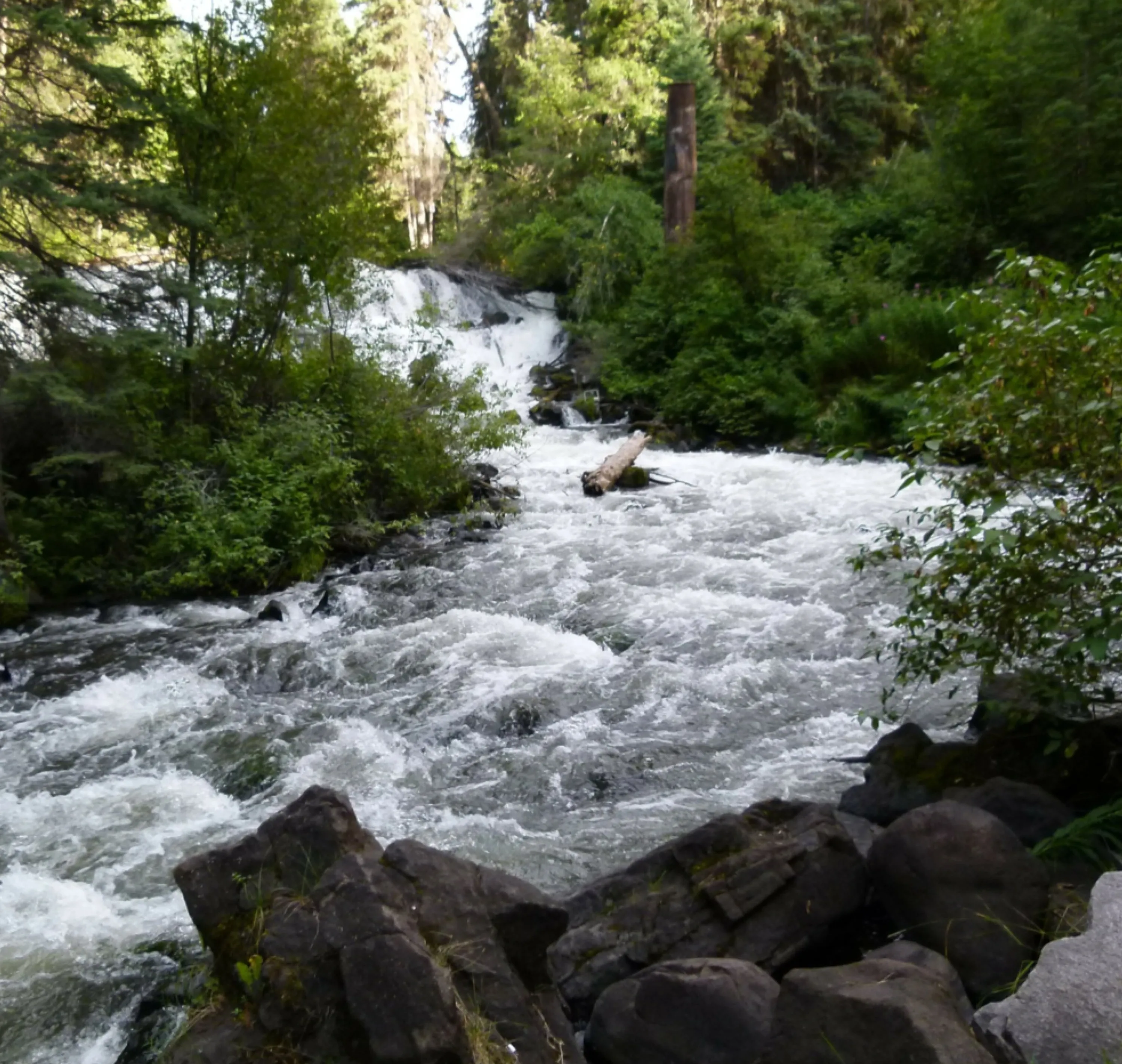 Bubbling Brook