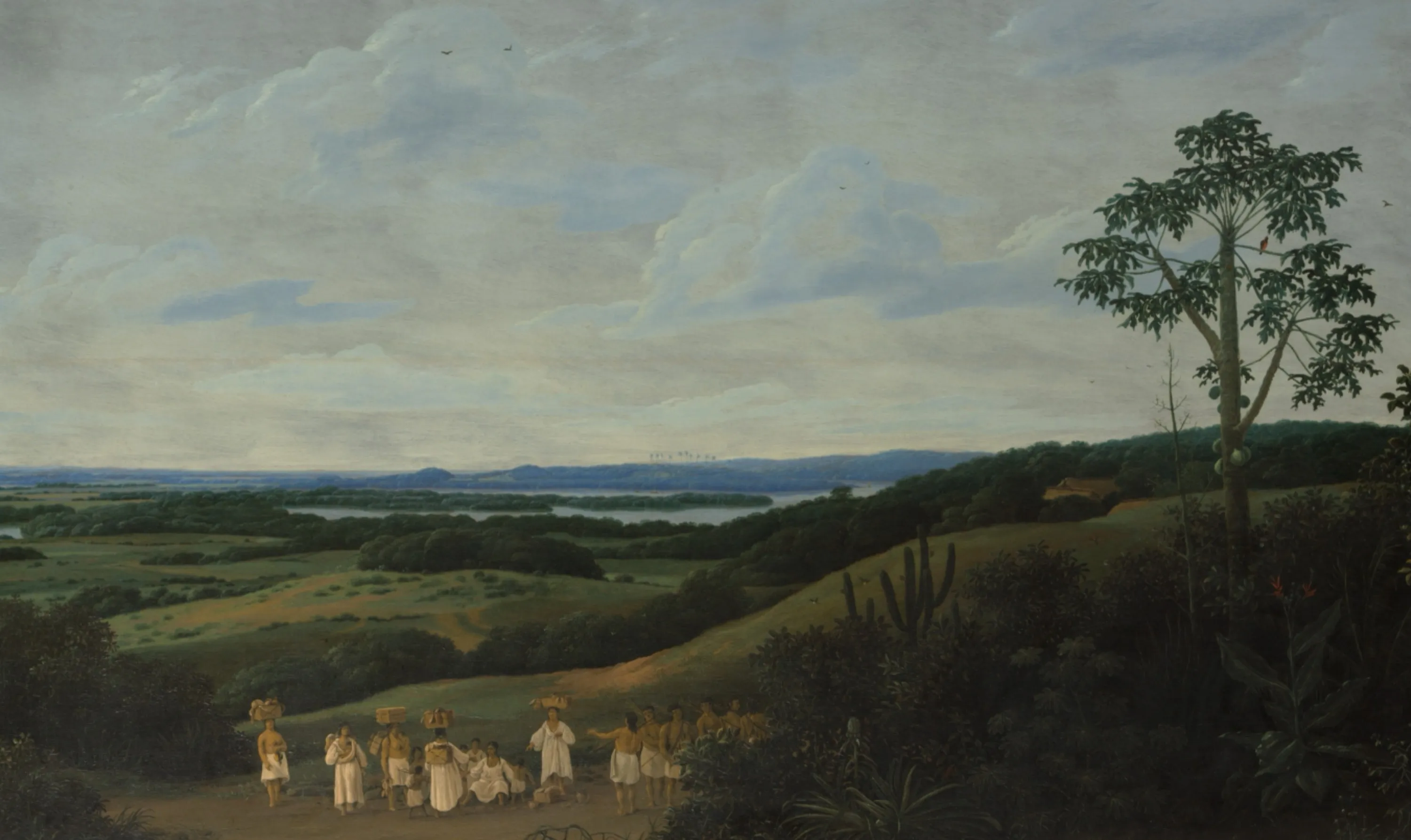 Brazilian Landscape