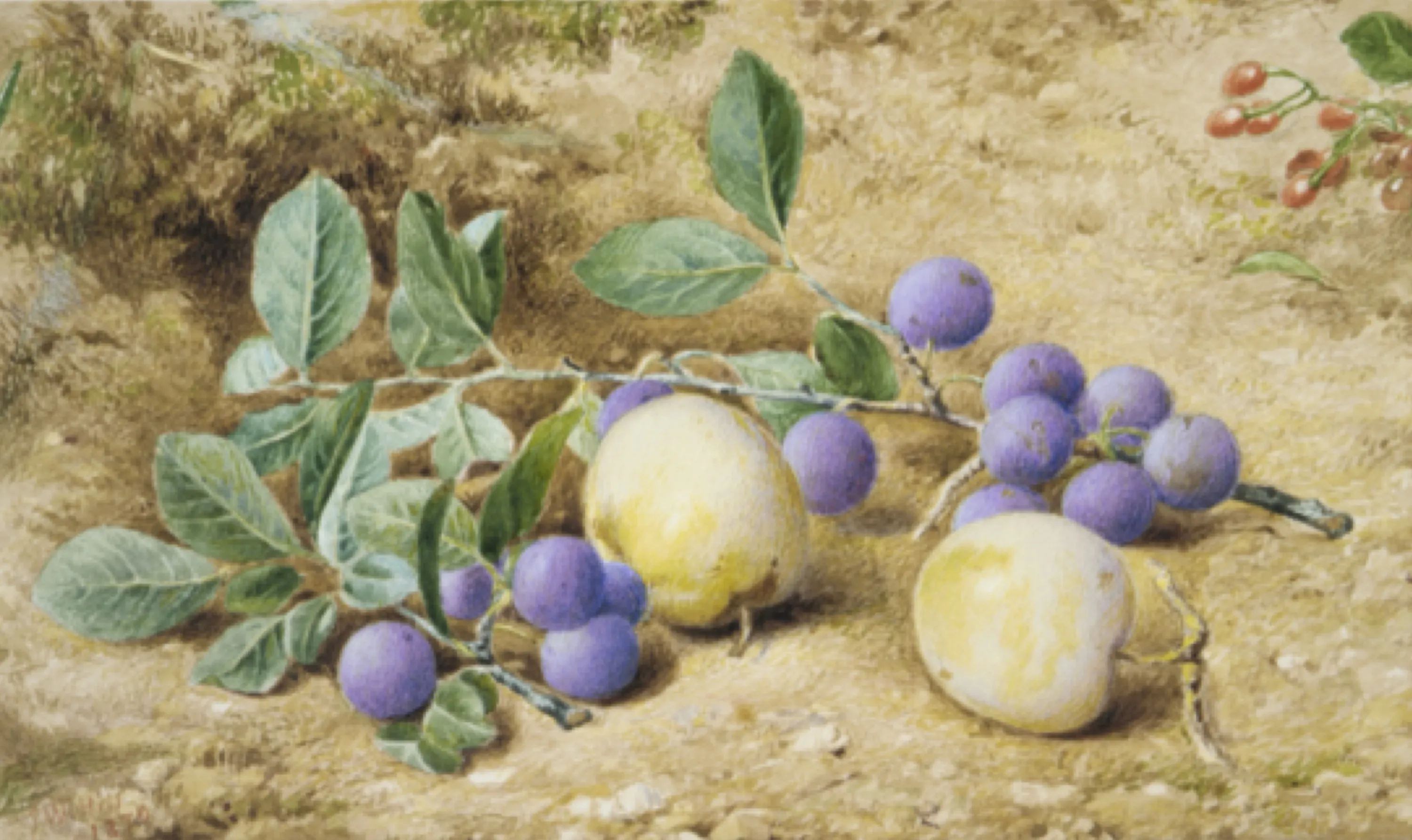 Plums