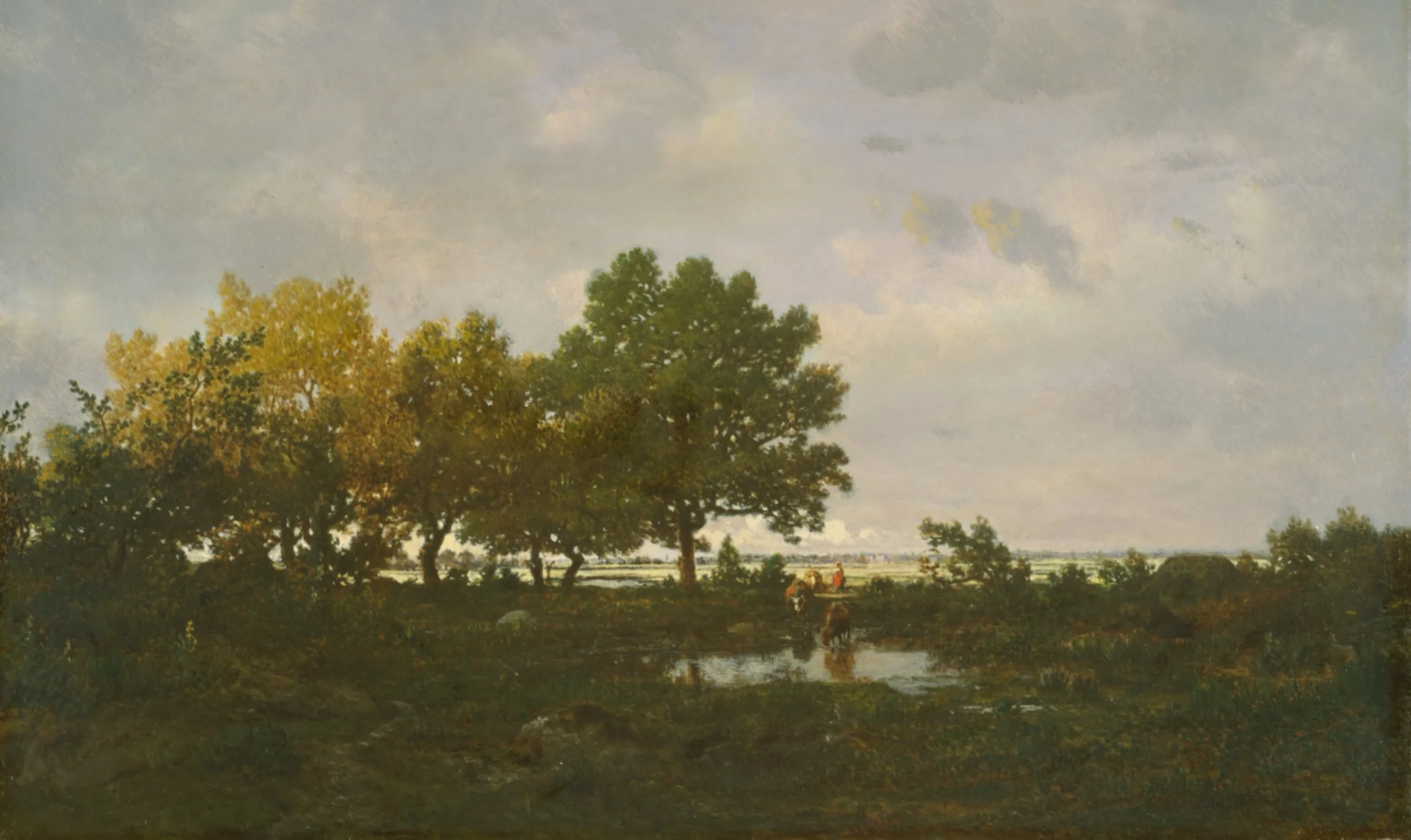 The Pond